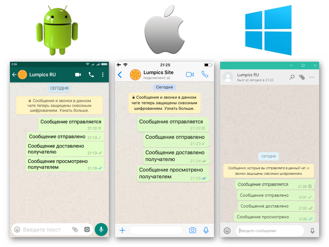 Что значат галочки в whatsapp: одна, две (серые, синие) - подробно
