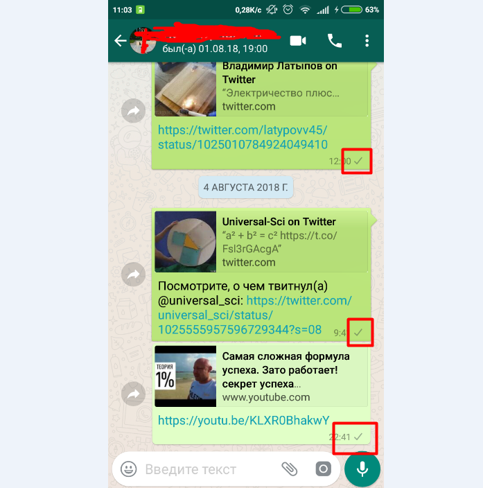 Что означают галочки в whatsapp (одна, две, звёздочки)