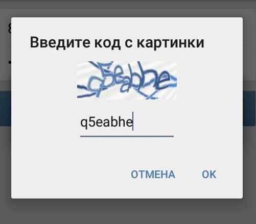 Что значит введите код с картинки
