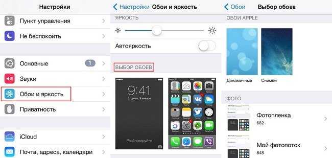 Как сменить обои на айфоне. Как установить заставку на айфон. Обои в настройках айфона. Обои установленные на айфоне. Изменение обоев на айфоне.