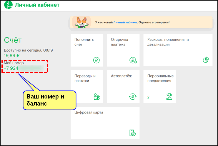 Детская карта санкт петербург узнать баланс как проверить баланс