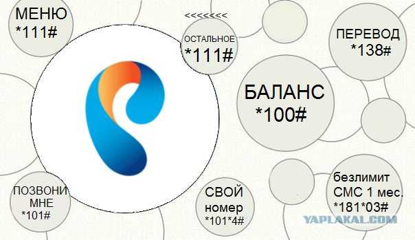 Узнать номер симки ростелеком — все способы