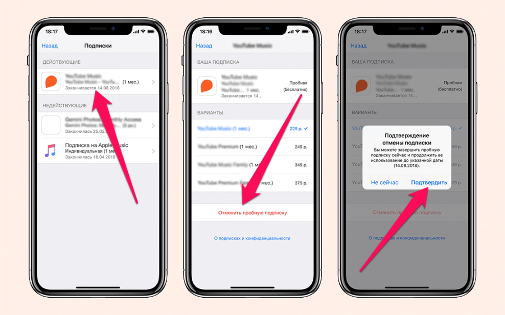 Платные приложения ios. Как отменить платную подписку на айфоне. Платные подписки на айфоне. Как отменить подписку на приложение в айфоне. Как удалить подписку в айфоне.