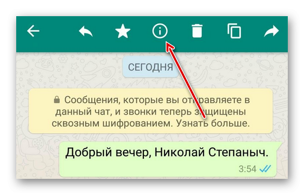 Ватсап галочки в сообщениях. Галочки в WHATSAPP. Одна галочка в ватсапе. Галочки в ватсапе что означает. Ватсап 1 галочка.