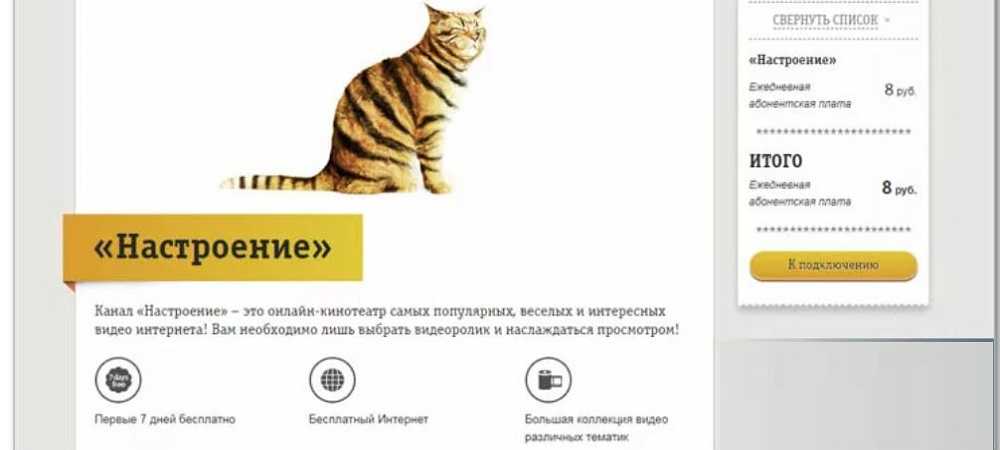 Как отключить подписки и услуги на мегафоне с телефона