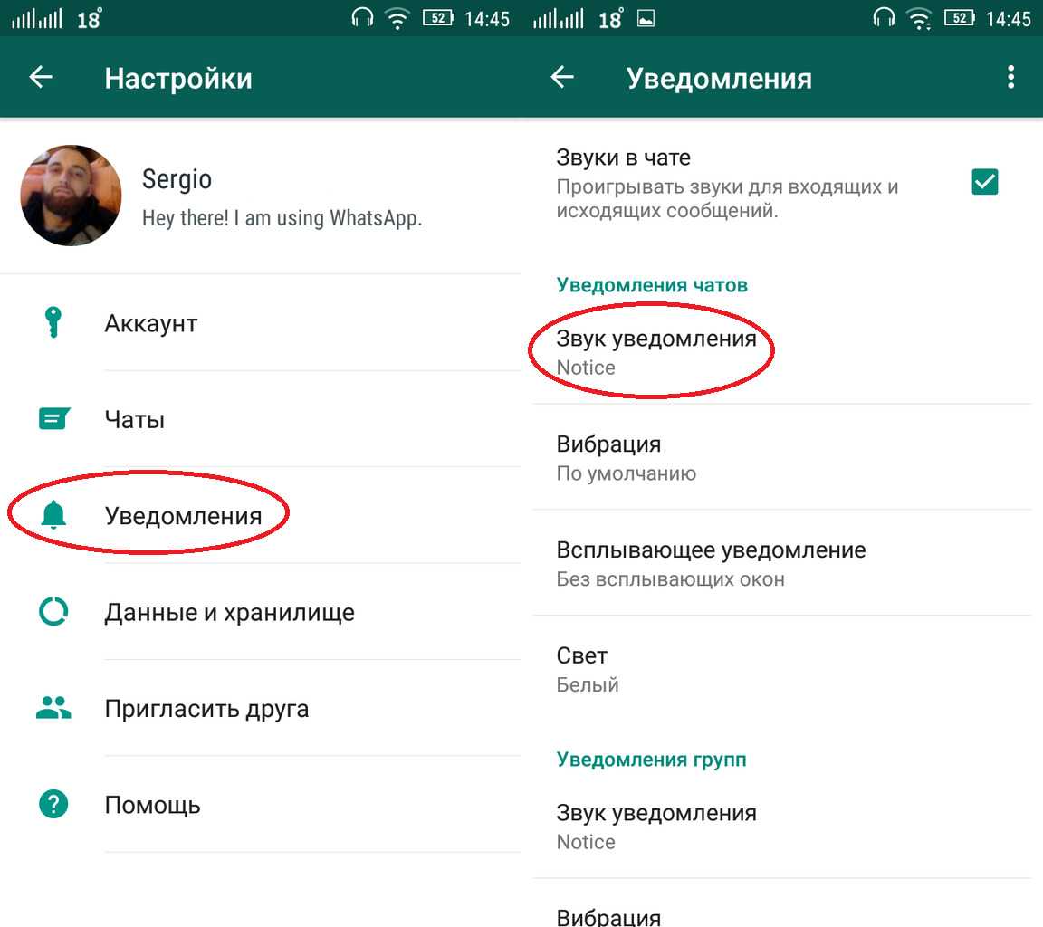 Включи звуки на сообщения. Как настроить звук уведомлений в WHATSAPP. Звуковые сообщения в вотсапе. Звук уведомления в ватсапе. Изменение голосового сообщения в ватсапе.