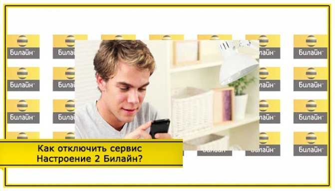 Услуги мегафон. как отключить услуги и подписки megafon, подключение услуг