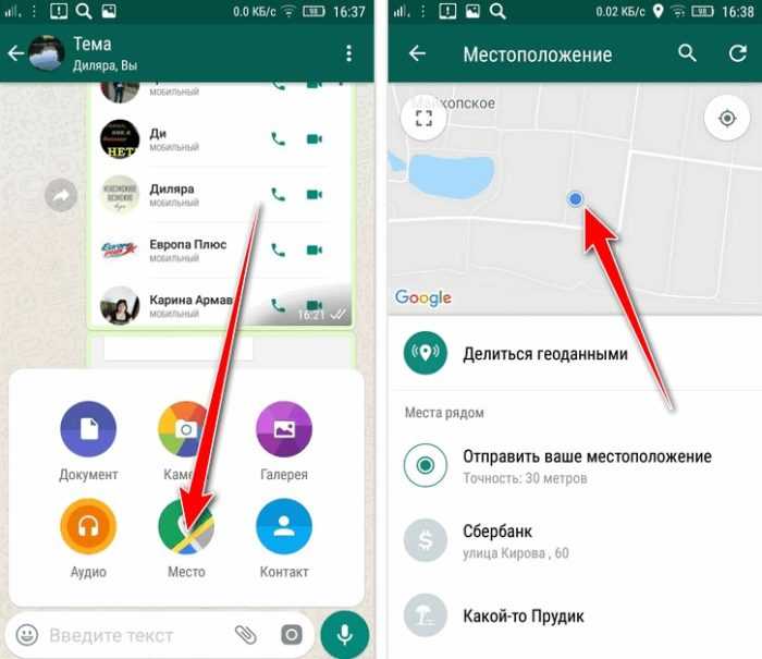 Как отправить где я нахожусь. Как отправить геолокацию по ватсапу. Как скинуть геолокацию в ватсап. Геолокация в ватсапе на айфоне. Как отправить местоположение по ватсапу.